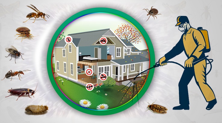 Limontepe Böcek İlaçlama