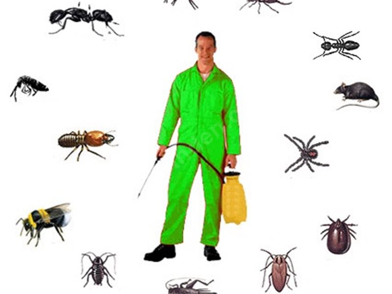 Limontepe Böcek İlaçlama